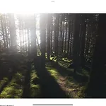 Forest Hideaway With Scenic View Fiska