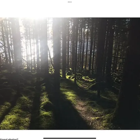 Forest Hideaway With Scenic View Fiska