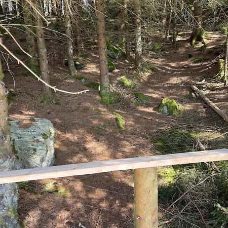 Forest Hideaway With Scenic View Domek alpejski