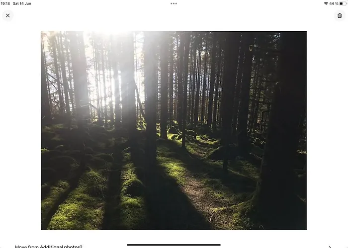 Forest Hideaway With Scenic View Fiska