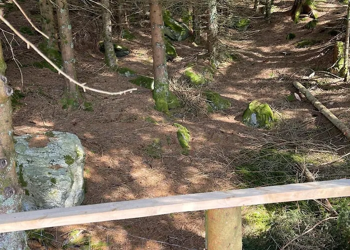 Forest Hideaway With Scenic View Domek alpejski